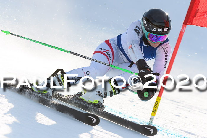 FIS + NJC Riesenslalom Damen + Herren 01.02.2020