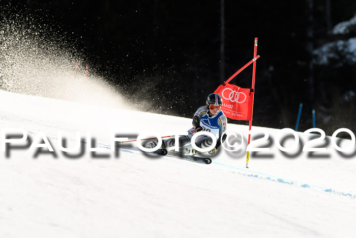 FIS + NJC Riesenslalom Damen + Herren 01.02.2020