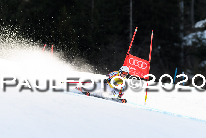 FIS + NJC Riesenslalom Damen + Herren 01.02.2020