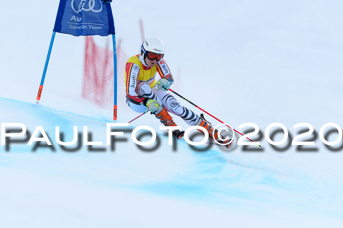 FIS + NJC Riesenslalom Damen + Herren 01.02.2020