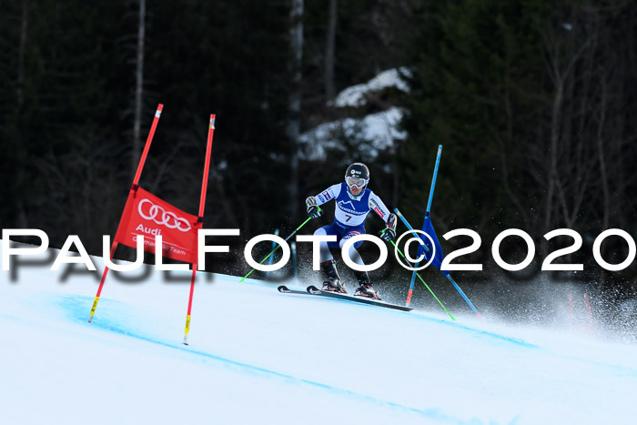 FIS + NJC Riesenslalom Damen + Herren 01.02.2020