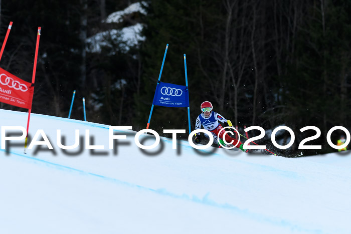 FIS + NJC Riesenslalom Damen + Herren 01.02.2020