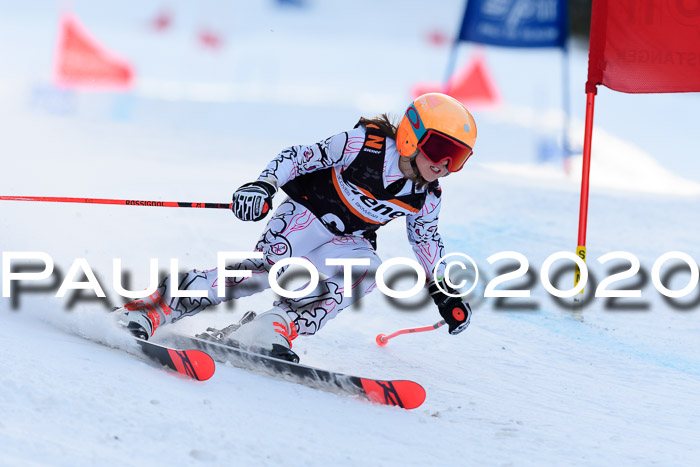 Ziener Kids Cross U12 + Reischmann Cup ASV/WF