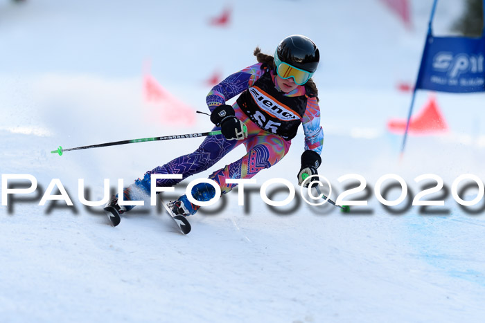 Ziener Kids Cross U12 + Reischmann Cup ASV/WF