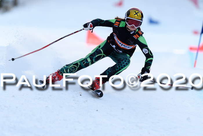 Ziener Kids Cross U12 + Reischmann Cup ASV/WF