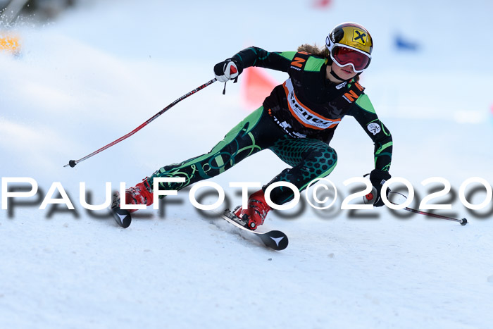 Ziener Kids Cross U12 + Reischmann Cup ASV/WF