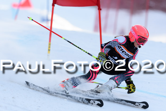 Ziener Kids Cross U12 + Reischmann Cup ASV/WF