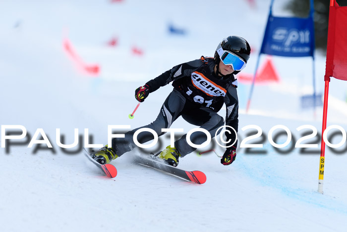 Ziener Kids Cross U12 + Reischmann Cup ASV/WF