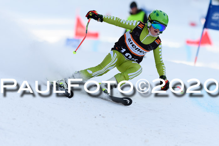 Ziener Kids Cross U12 + Reischmann Cup ASV/WF