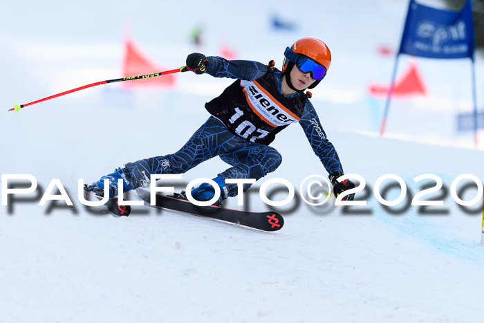 Ziener Kids Cross U12 + Reischmann Cup ASV/WF