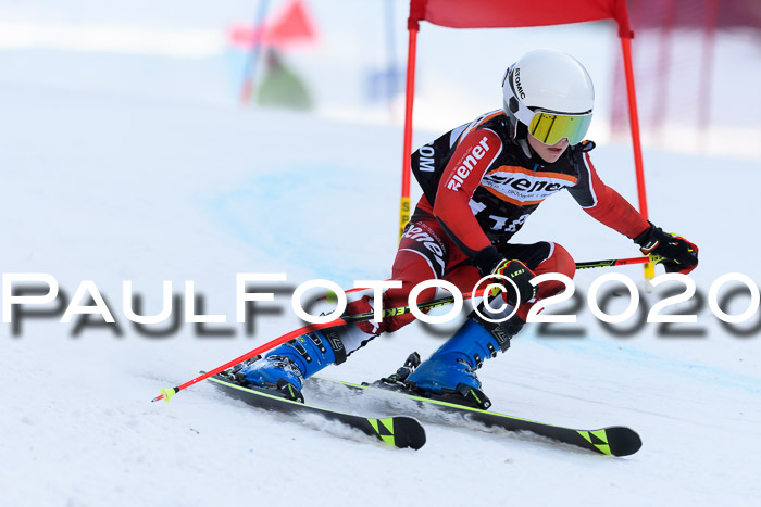 Ziener Kids Cross U12 + Reischmann Cup ASV/WF