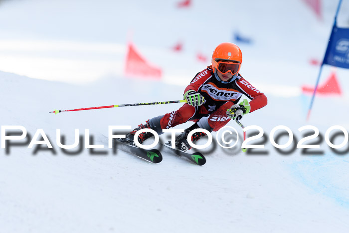 Ziener Kids Cross U12 + Reischmann Cup ASV/WF