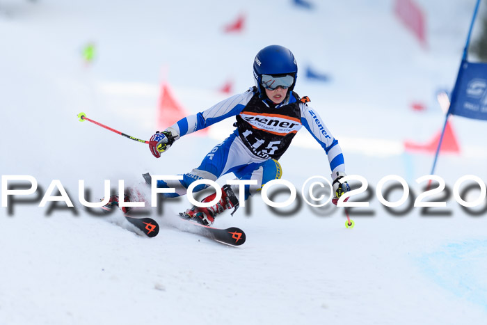 Ziener Kids Cross U12 + Reischmann Cup ASV/WF