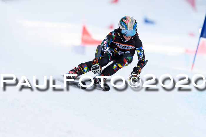 Ziener Kids Cross U12 + Reischmann Cup ASV/WF