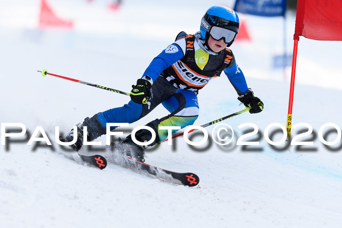 Ziener Kids Cross U12 + Reischmann Cup ASV/WF