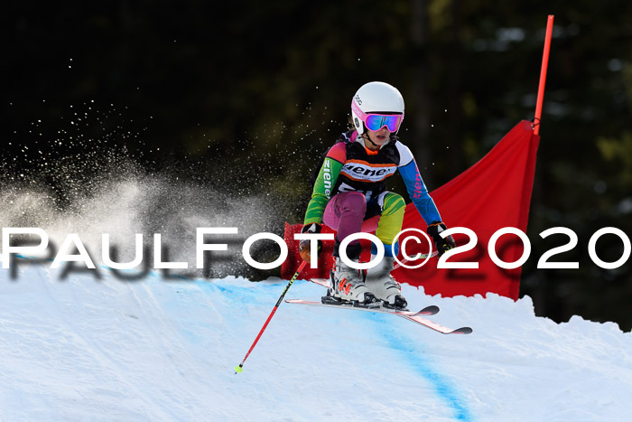 Ziener Kids Cross U12 + Reischmann Cup ASV/WF