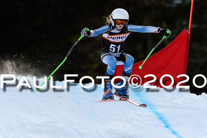 Ziener Kids Cross U12 + Reischmann Cup ASV/WF