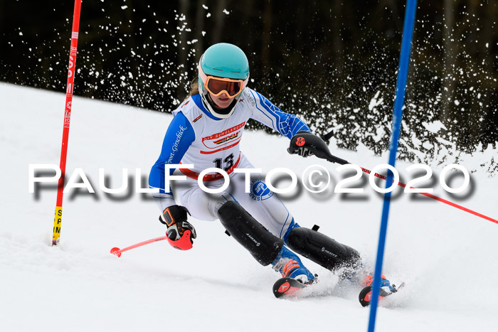 DSV Schülercup U14 IX SL 16.02.2020