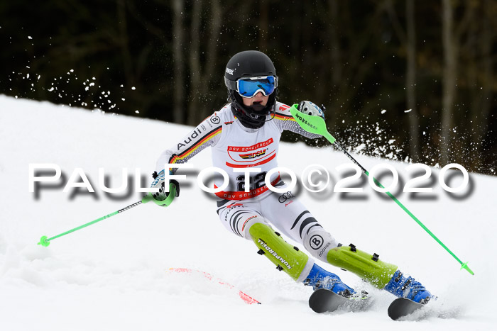 DSV Schülercup U14 IX SL 16.02.2020