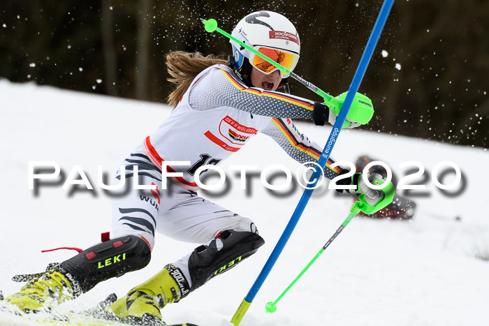 DSV Schülercup U14 IX SL 16.02.2020