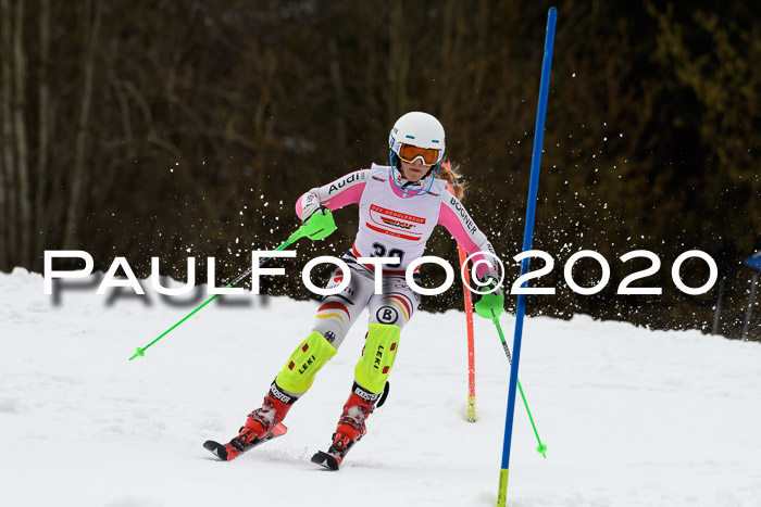 DSV Schülercup U14 IX SL 16.02.2020