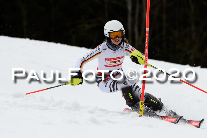 DSV Schülercup U14 IX SL 16.02.2020