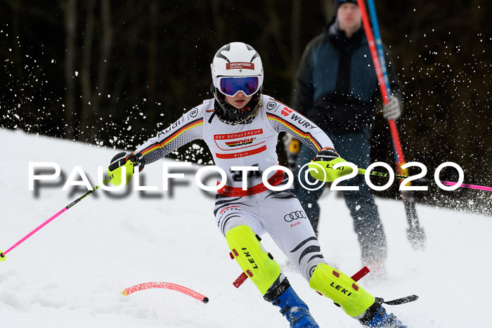 DSV Schülercup U14 IX SL 16.02.2020