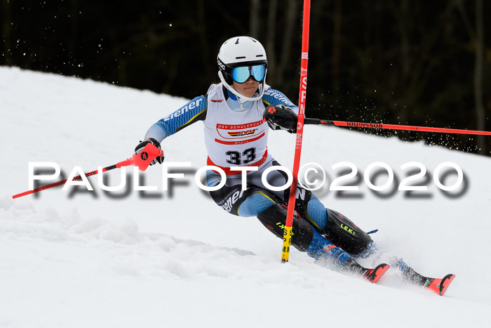 DSV Schülercup U14 IX SL 16.02.2020