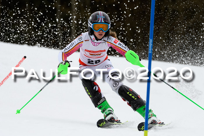 DSV Schülercup U14 IX SL 16.02.2020