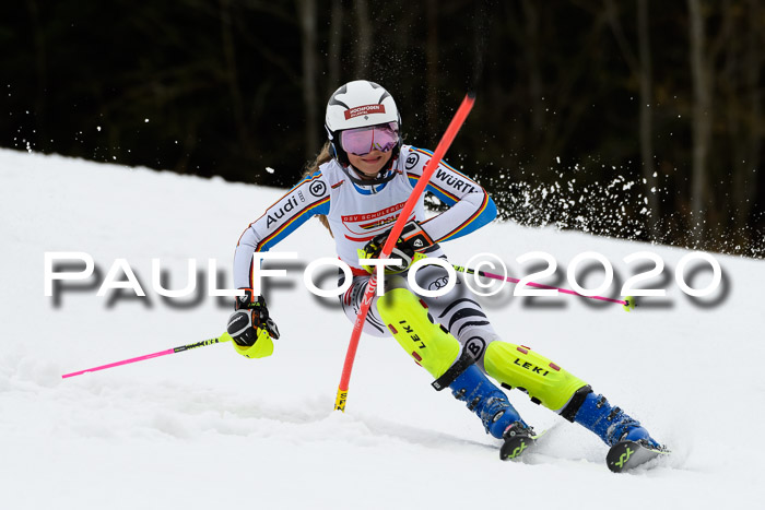 DSV Schülercup U14 IX SL 16.02.2020