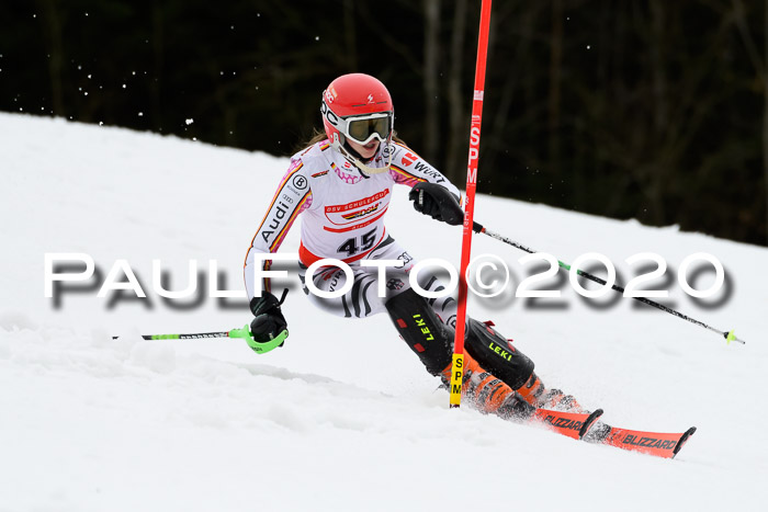 DSV Schülercup U14 IX SL 16.02.2020