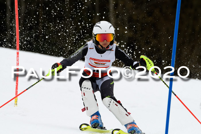 DSV Schülercup U14 IX SL 16.02.2020