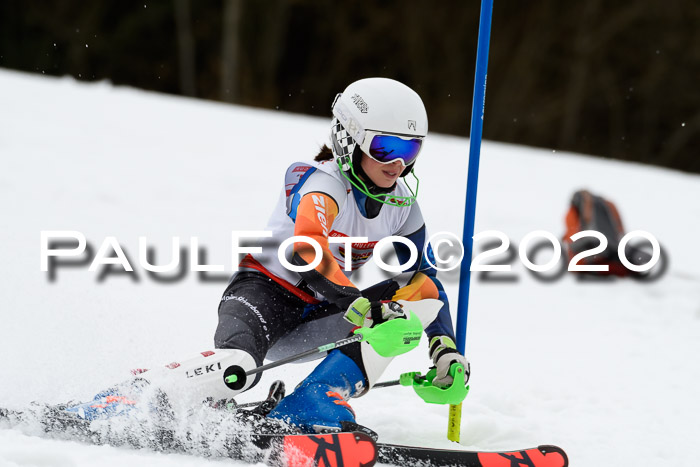 DSV Schülercup U14 IX SL 16.02.2020