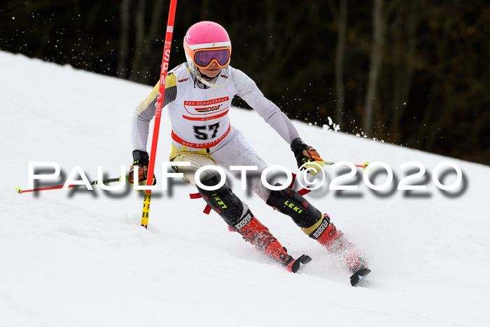 DSV Schülercup U14 IX SL 16.02.2020