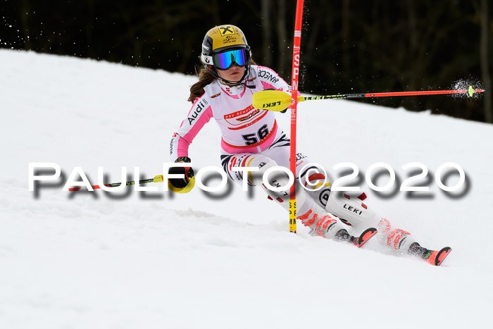 DSV Schülercup U14 IX SL 16.02.2020