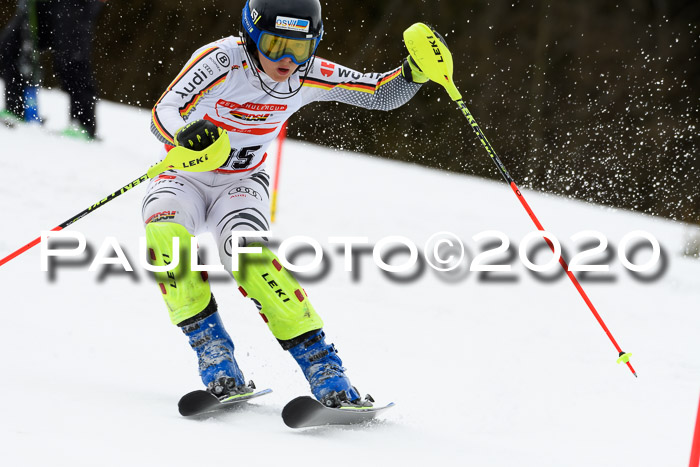 DSV Schülercup U14 IX SL 16.02.2020