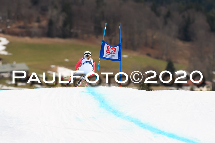 NJC  + FIS SG Damen, Götschen, 17.02.2020