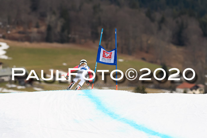 NJC  + FIS SG Damen, Götschen, 17.02.2020