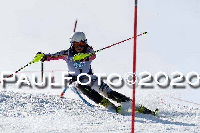 NJC Damen Slalom, 22.02.2020