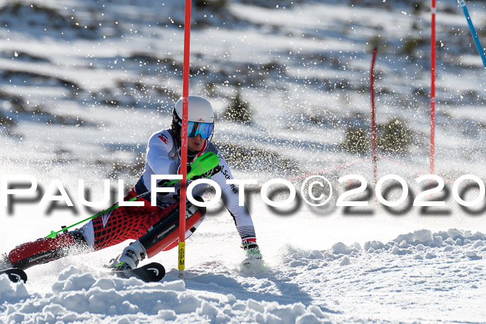 FIS Slalom NJC Herren 22.02.2020