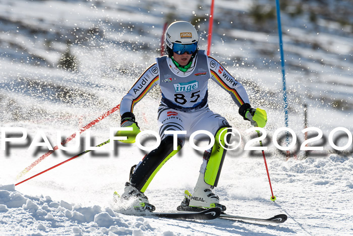 FIS Slalom NJC Herren 22.02.2020