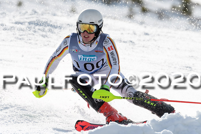 FIS Slalom NJC Herren 22.02.2020