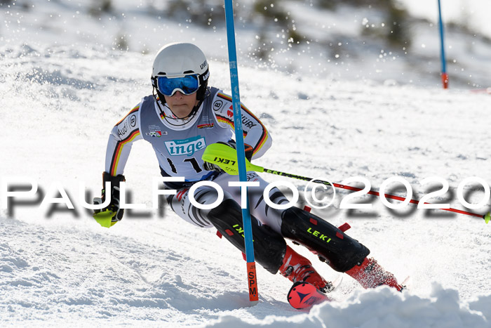 FIS Slalom NJC Herren 22.02.2020