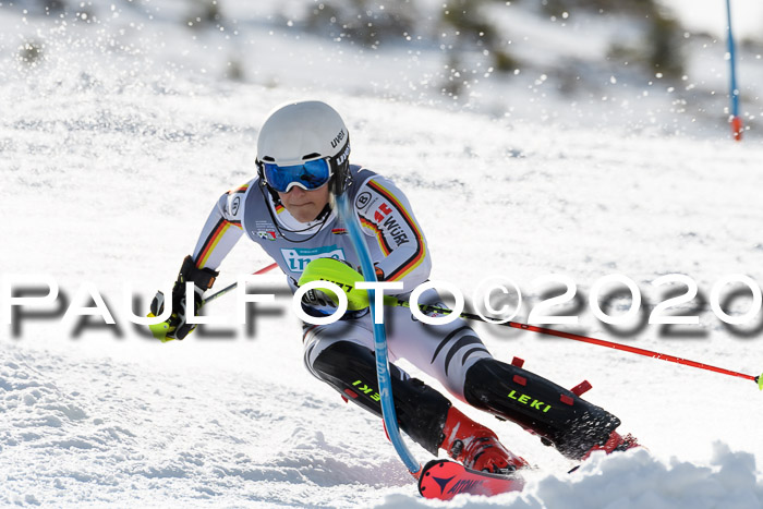 FIS Slalom NJC Herren 22.02.2020