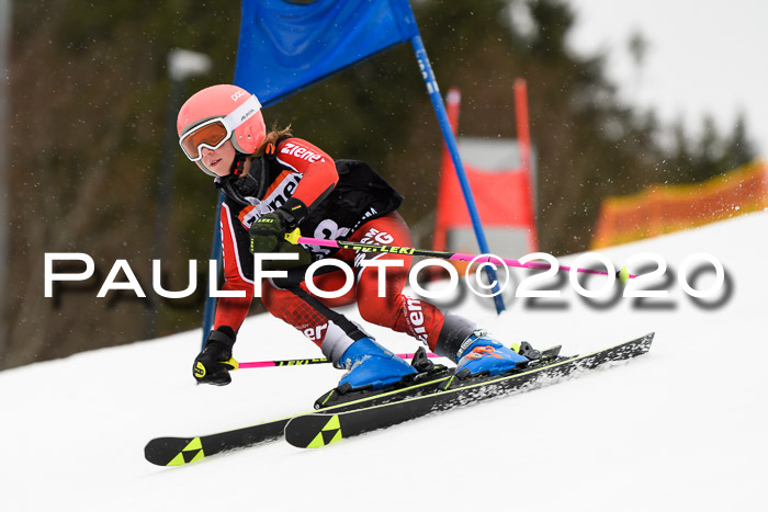 7.  Zienercup + Werdenfelser Meisterschaft 23.02.2020