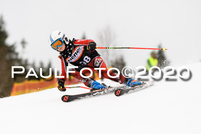 7.  Zienercup + Werdenfelser Meisterschaft 23.02.2020