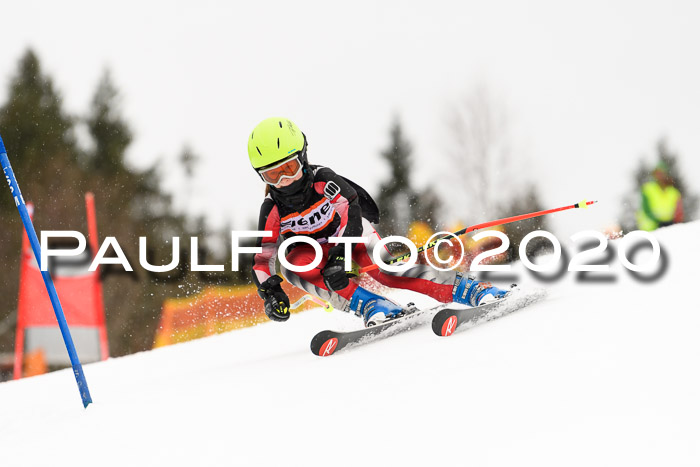 7.  Zienercup + Werdenfelser Meisterschaft 23.02.2020