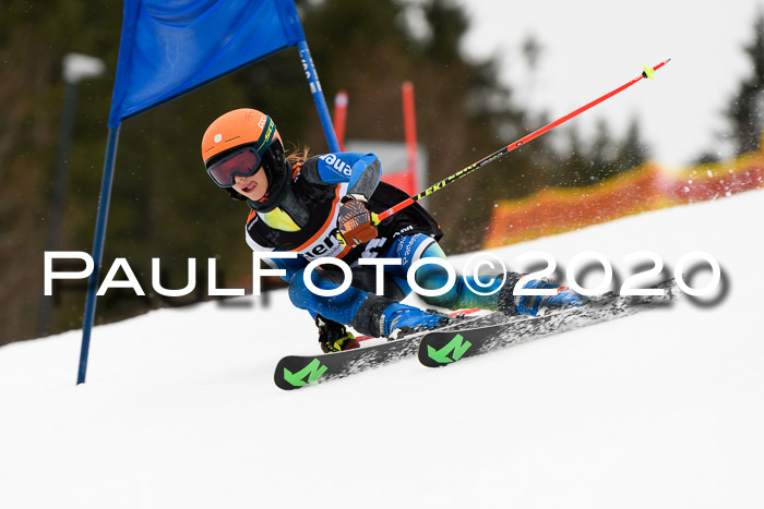 7.  Zienercup + Werdenfelser Meisterschaft 23.02.2020