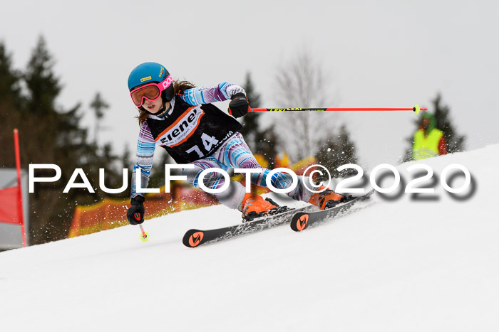 7.  Zienercup + Werdenfelser Meisterschaft 23.02.2020