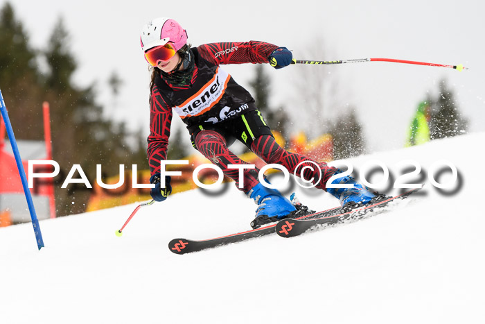 7.  Zienercup + Werdenfelser Meisterschaft 23.02.2020